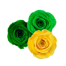 Load image into Gallery viewer, SPRING LOVE