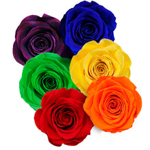 Load image into Gallery viewer, RAINBOW