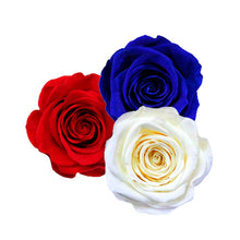 Load image into Gallery viewer, USA