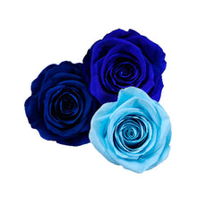 Load image into Gallery viewer, OCEAN