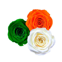 Load image into Gallery viewer, ST PATRICKS