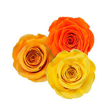 Load image into Gallery viewer, ROMANTIC SUNSET