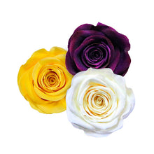 Load image into Gallery viewer, LAKER SHOW