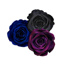 Load image into Gallery viewer, DARK NIGHT