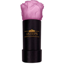 Load image into Gallery viewer, BABY PINK ROSE