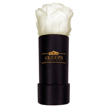 Load image into Gallery viewer, SNOW WHITE ROSE