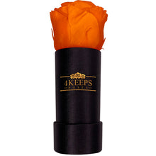 Load image into Gallery viewer, SUNSET ORANGE ROSE