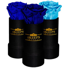 Load image into Gallery viewer, OCEAN