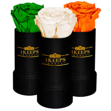 Load image into Gallery viewer, ST PATRICKS