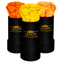 Load image into Gallery viewer, ROMANTIC SUNSET