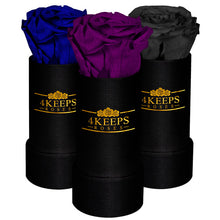 Load image into Gallery viewer, DARK NIGHT