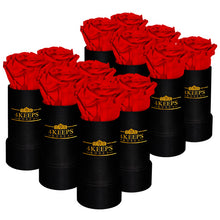 Load image into Gallery viewer, Romance 12