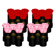 Load image into Gallery viewer, Lover 20