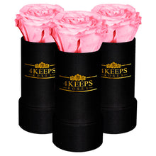 Load image into Gallery viewer, 3 BABY PINK ROSES
