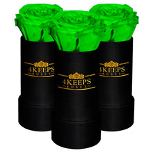 Load image into Gallery viewer, 3 PISTACHIO GREEN ROSES