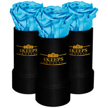 Load image into Gallery viewer, 3 SKY BLUE ROSES