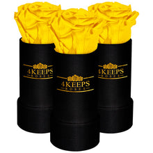 Load image into Gallery viewer, 3 SUNNY DAY ROSES