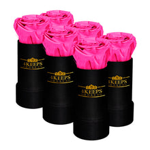 Load image into Gallery viewer, 6 FUCHSIA ROSES