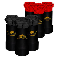 Load image into Gallery viewer, Passion 6