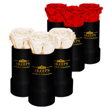 Load image into Gallery viewer, Enchantment 6