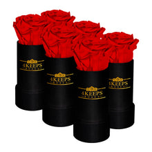 Load image into Gallery viewer, Appreciation 6