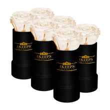 Load image into Gallery viewer, 6 SNOW WHITE ROSES