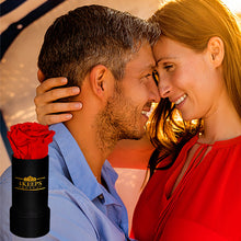 Load image into Gallery viewer, RAINBOW