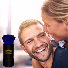 Load image into Gallery viewer, 6 ROYAL BLUE ROSES