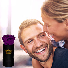 Load image into Gallery viewer, 6 RUBY WINE ROSES