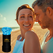 Load image into Gallery viewer, 3 SKY BLUE ROSES