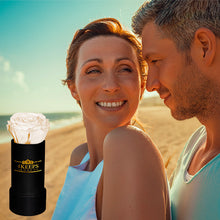 Load image into Gallery viewer, 6 SNOW WHITE ROSES