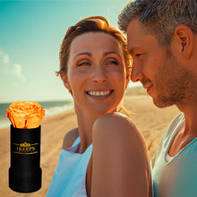 Load image into Gallery viewer, 6 SUNSET YELLOW ROSES