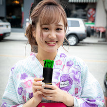 Load image into Gallery viewer, 6 PISTACHIO GREEN ROSES