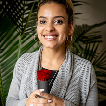 Load image into Gallery viewer, 3 RED ROSES