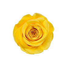 Load image into Gallery viewer, SUNNY DAY YELLOW ROSE