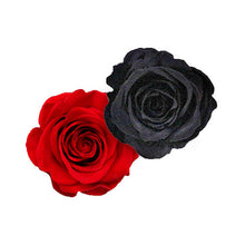 Load image into Gallery viewer, Passion 6