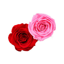 Load image into Gallery viewer, Lover 20