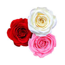 Load image into Gallery viewer, Cloud 9