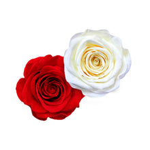 Load image into Gallery viewer, Venice 12