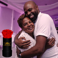 Load image into Gallery viewer, Admiration 9