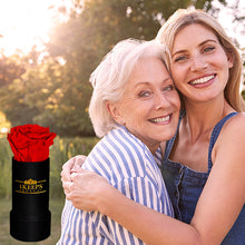 Load image into Gallery viewer, Gratitude 4