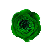 Load image into Gallery viewer, NATURE GREEN ROSE