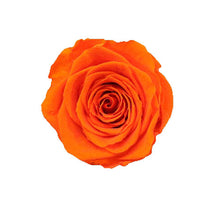 Load image into Gallery viewer, 3 SUNSET ORANGE ROSES