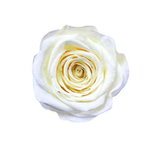 Load image into Gallery viewer, KEEP SAFE