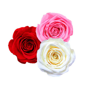 4 Keeps Roses Forever 3 – 4KEEPS ROSES