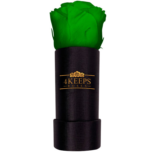 4 Keeps Roses NATURE GREEN ROSE – 4KEEPS ROSES