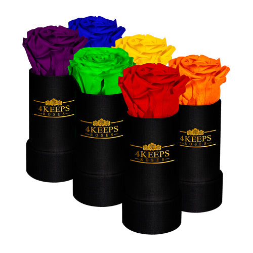4 Keeps Roses RAINBOW – 4KEEPS ROSES
