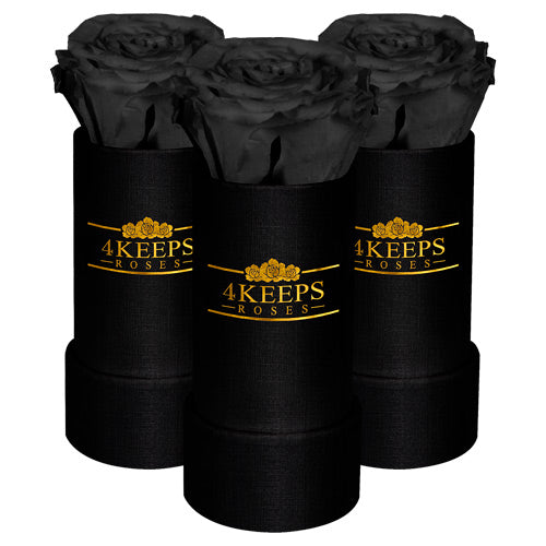 3 MYSTIC BLACK ROSES