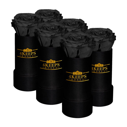 6 MYSTIC BLACK ROSES