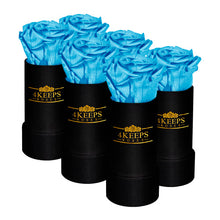 Load image into Gallery viewer, 6 SKY BLUE ROSES